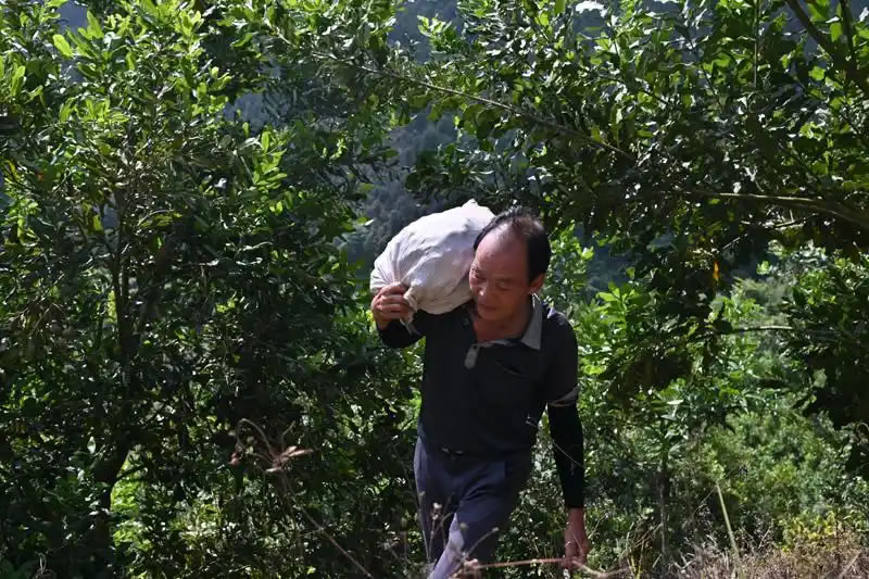 未命名-53.jpg